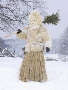 Certi, Czech republic, WILDER MANN, 2010-2011