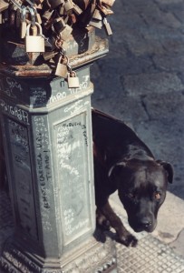 italia3