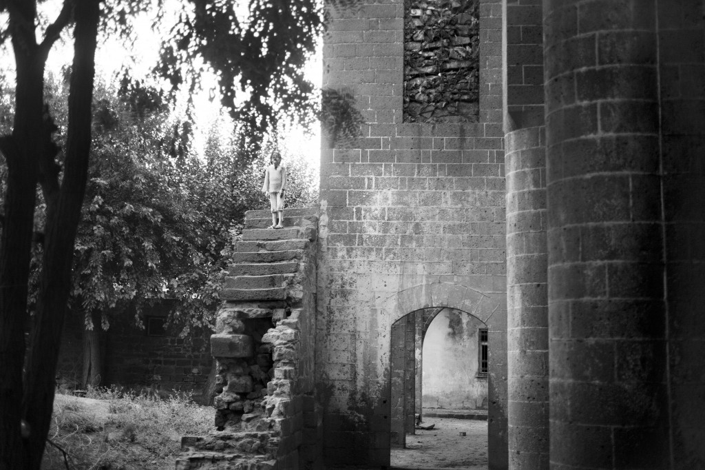 Kathryn Cook - La Memoria degli Alberi (1)