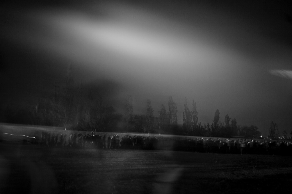 Kathryn Cook - La Memoria degli Alberi (2)