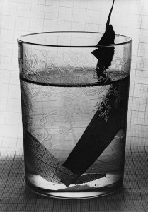 stern-glass