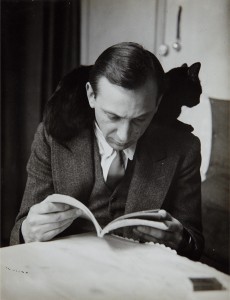 kertesz cat